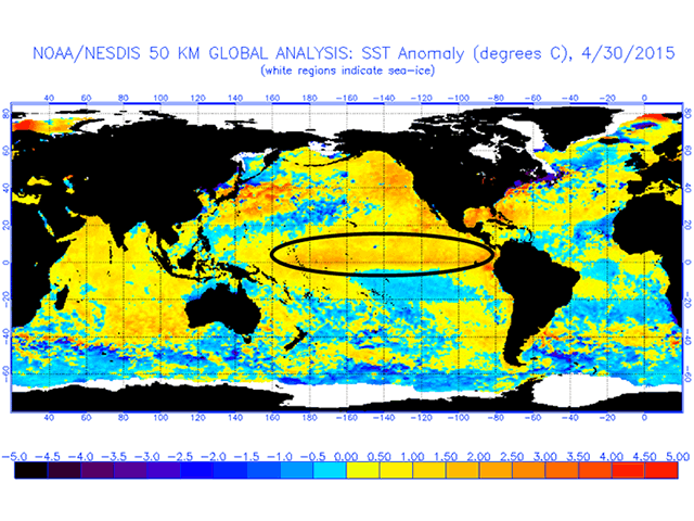 El Nino temperatures are underway in the Pacific Ocean. Five years ago in 2010, the Pacific temperatures moved into a La Nina phase instead. (NOAA graphic by Nick Scalise)